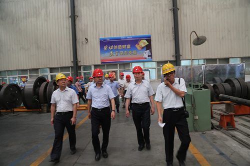 領導考察 領導考察